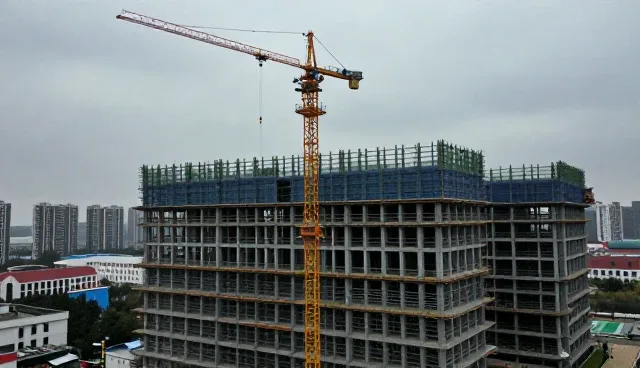 财税咨询在项目咨询中的应用与实践建议